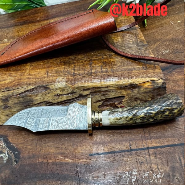 Stag-handled hunter