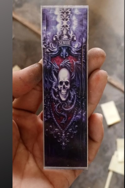 Skull and dragons insert